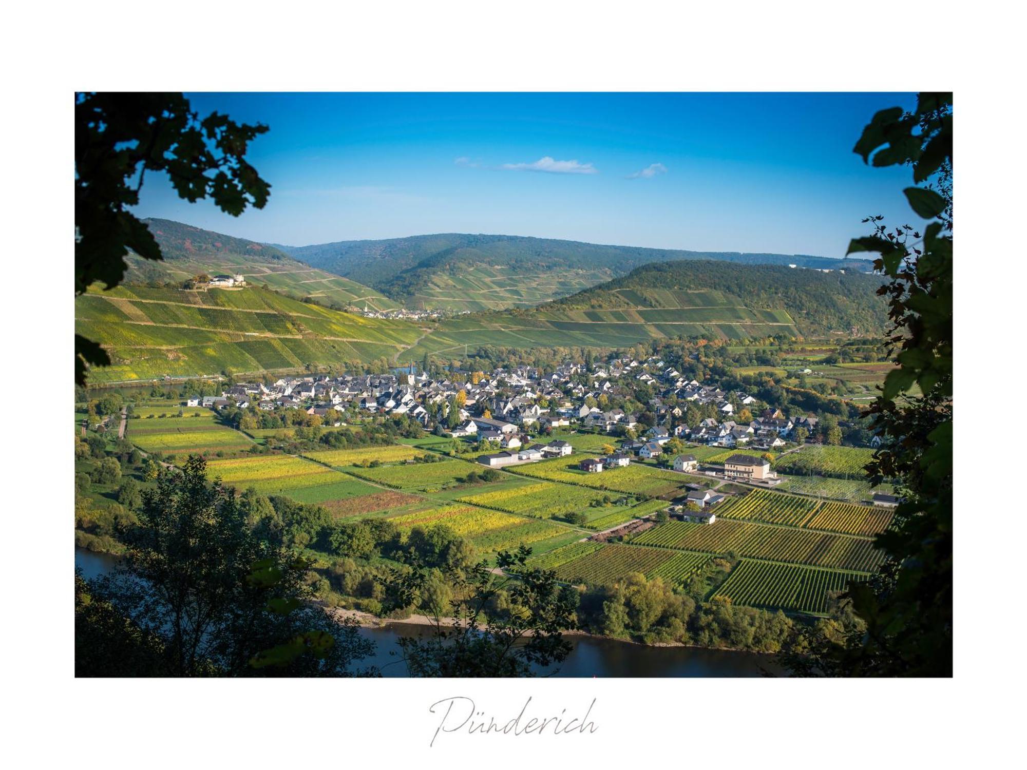 Апартаменти Ferienweingut Luetz Пюндеріх Екстер'єр фото