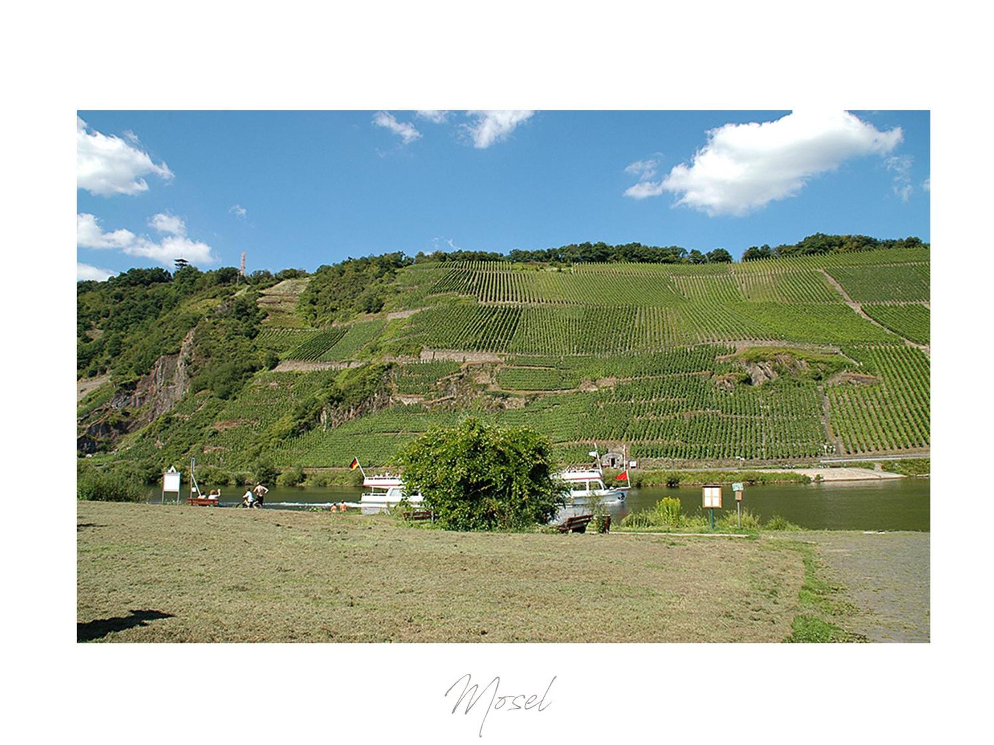 Апартаменти Ferienweingut Luetz Пюндеріх Екстер'єр фото